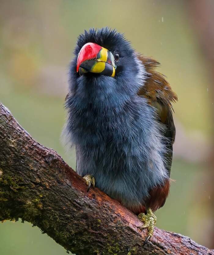   , ,  ,  ,  , 