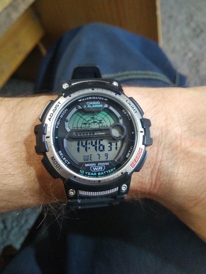  casio Casio,  