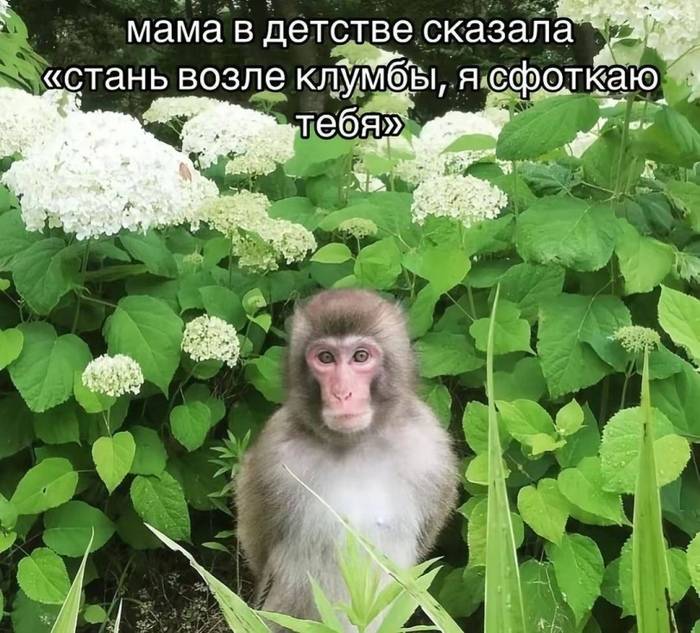  , . !