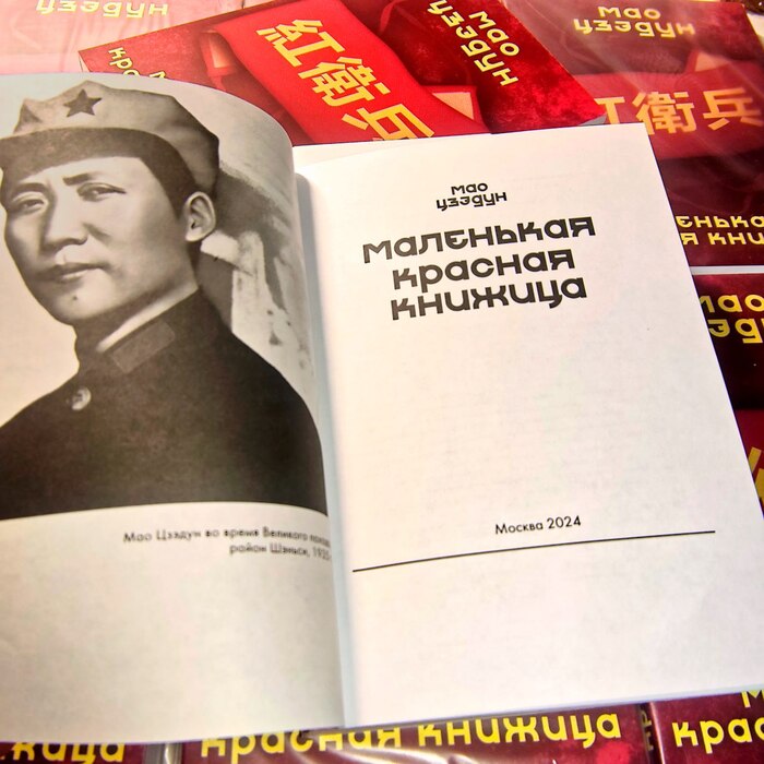 Пропаганда шторма 😂🤌