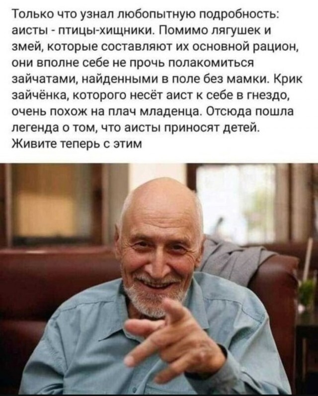 Аисты - молодцы!
