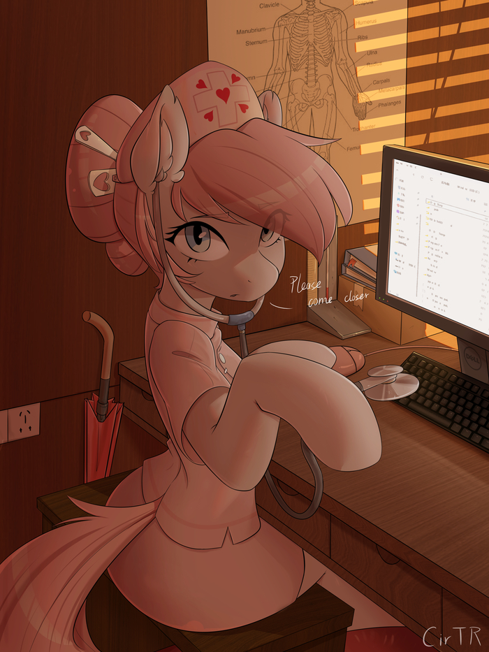     My Little Pony, Nurse Redheart