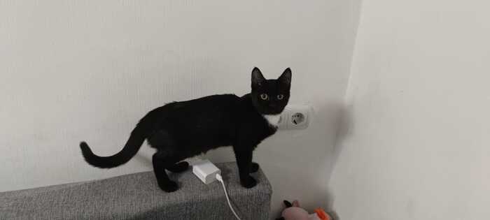 ( , ),    ,  , , 