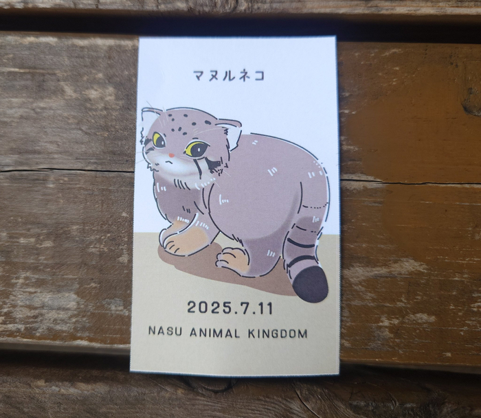 Миленький входной билетик в зоопарк