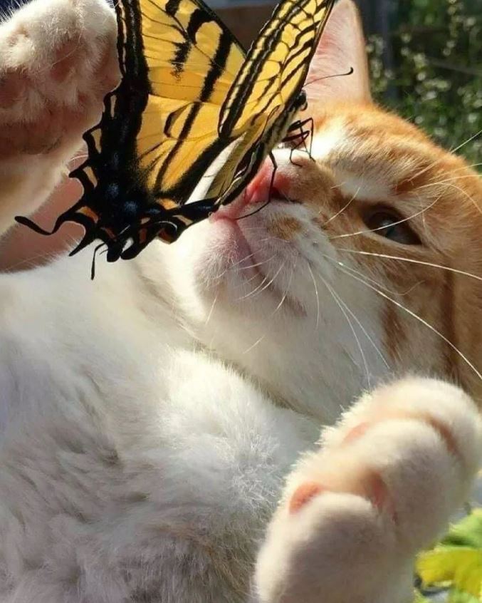  , , , , , 