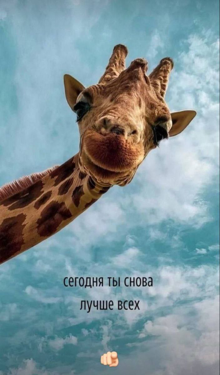 �������� ���!