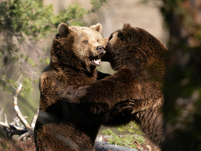         .   ,      .   .  ?  .