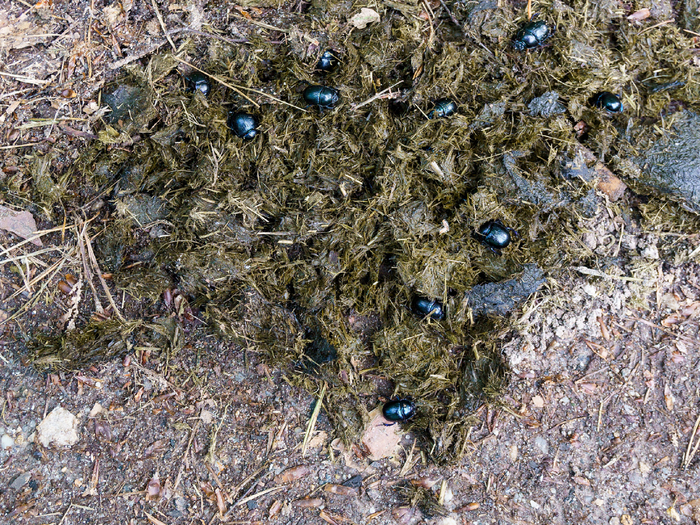       ,   .       . ,   :   ,     .