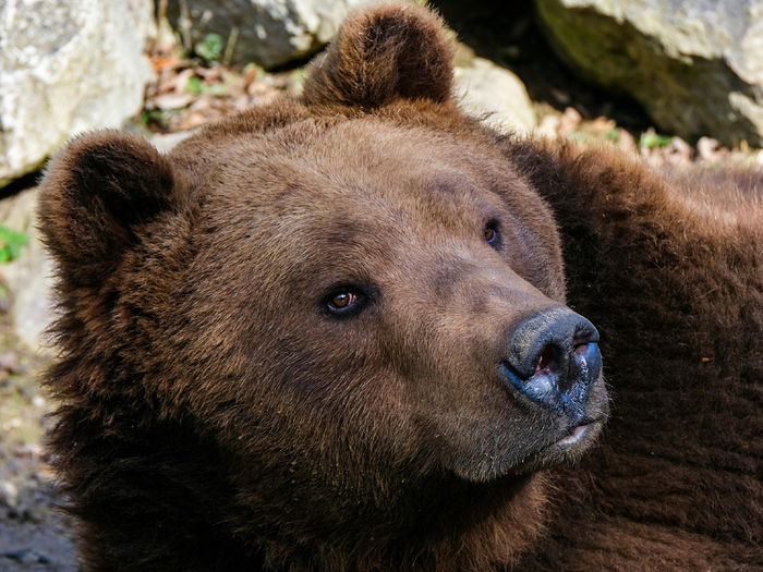      ,  ,     .   ,     ,    .