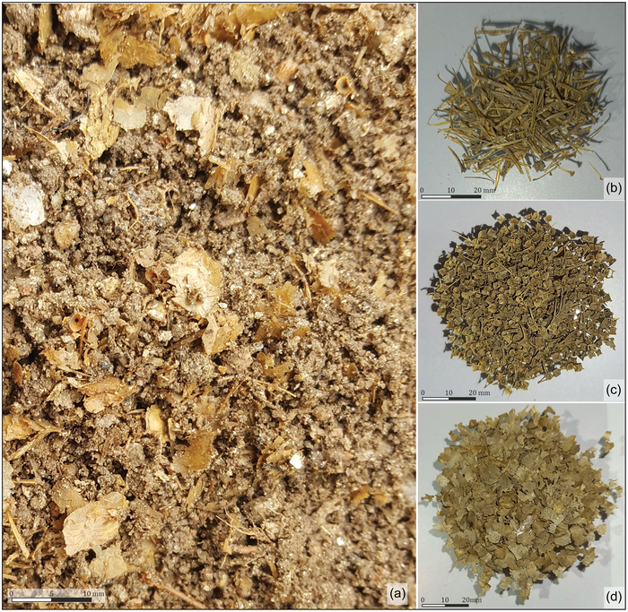 Остатки рыб со дна чана 1 до обработки (а) и после обработки, рассортированные на рыбьи кости (b), позвонки (с) и чешую (d)