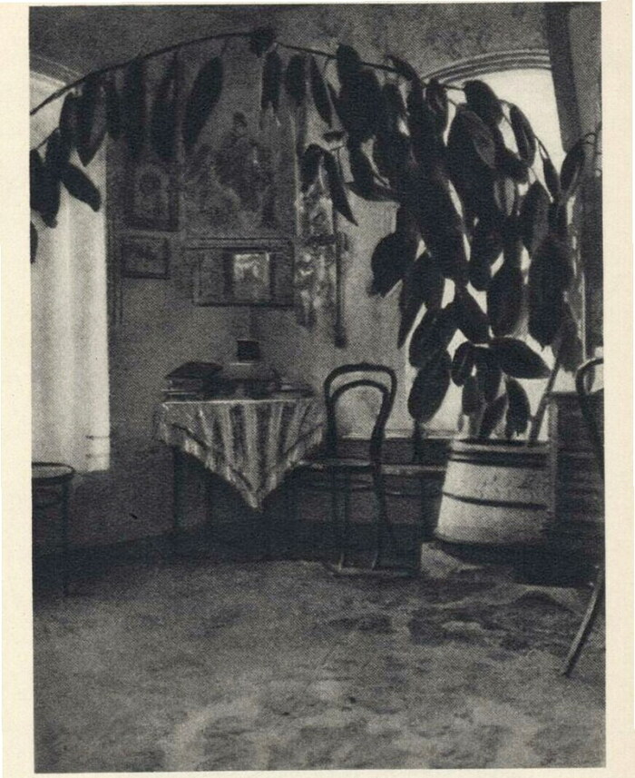 Дом зажиточного крестьянина и старосты деревенской общины Ефима Алексеевича Распутина. Так же при дворе был «Ямской приказ (Яма)» Комната для гостей.