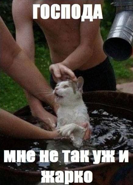 Ты не понимаешь, жарко