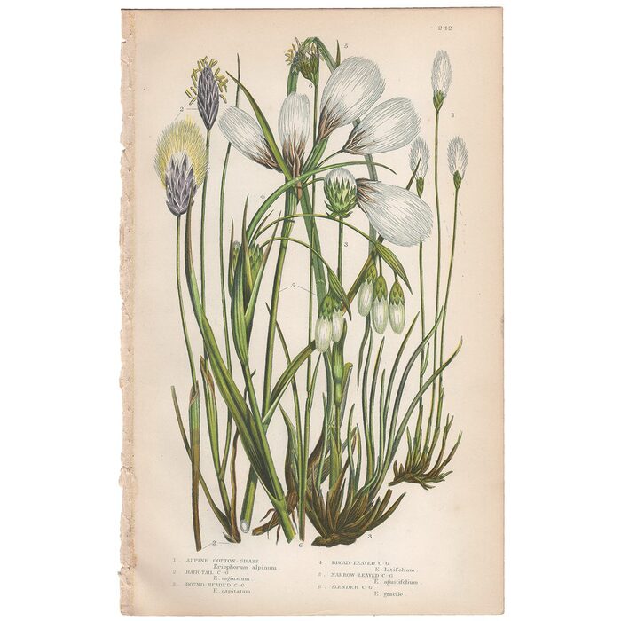   .    <!--noindex--><a href="https://pikabu.ru/story/khudozhnitsa_yenn_pratt_12975196?u=http%3A%2F%2Fdoverhistorian.com&t=doverhistorian.com&h=515d4eb4f9348ed9381cf90ad53ea67642440bbc" title="http://doverhistorian.com" target="_blank" rel="nofollow noopener">doverhistorian.com</a><!--/noindex-->.