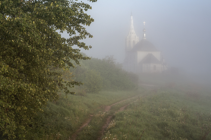 Летним утром