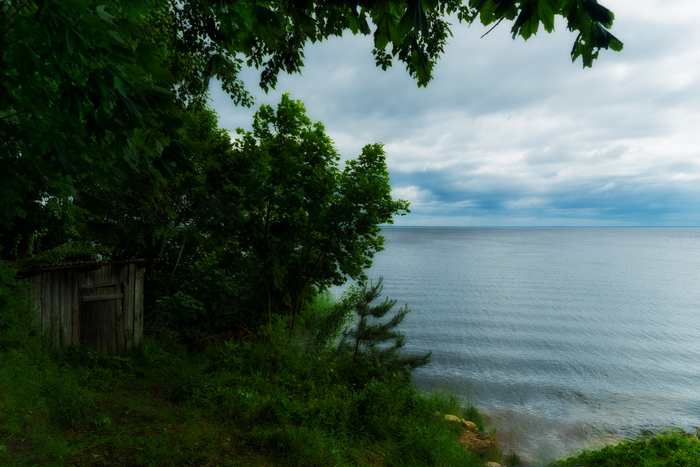  ,  .  Nikon, ,   