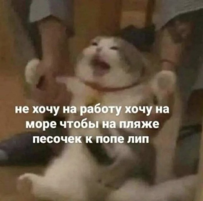 ����� ��������