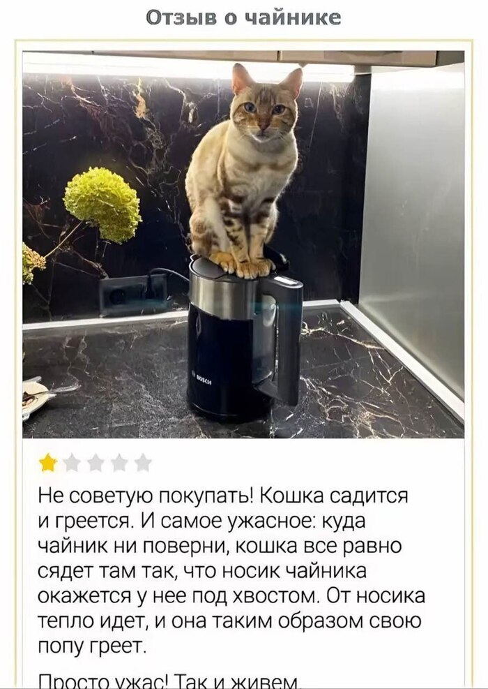  ,  ,   , , 