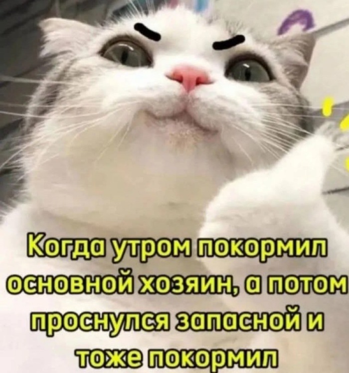  , , , ,   