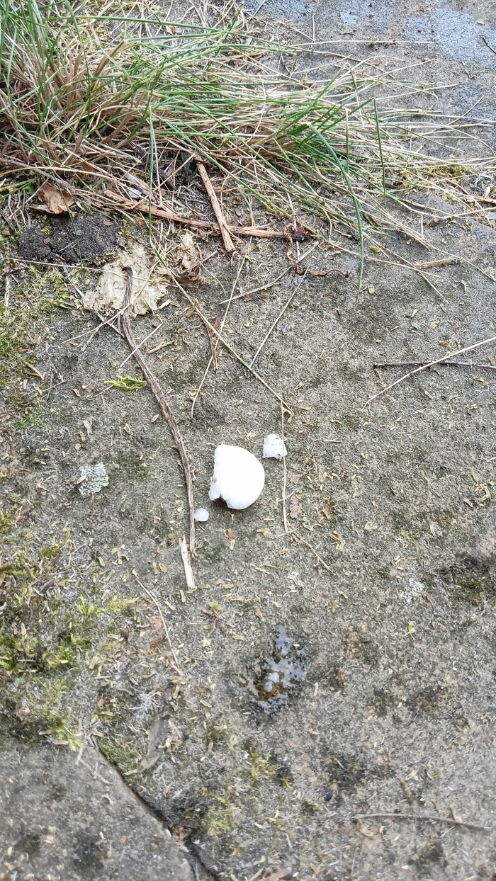    , ,  ,  , , , ,  , ,  , 