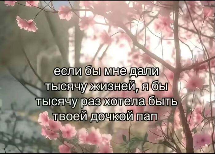 Дочь, люблю е