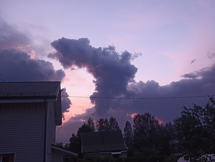 ������������ �����