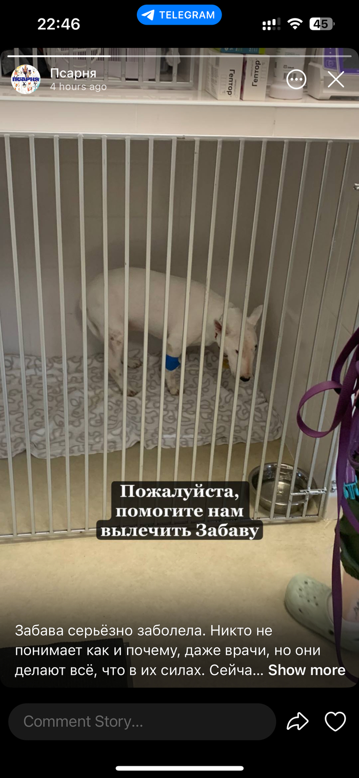 ���� � ������ ���� ������ 2