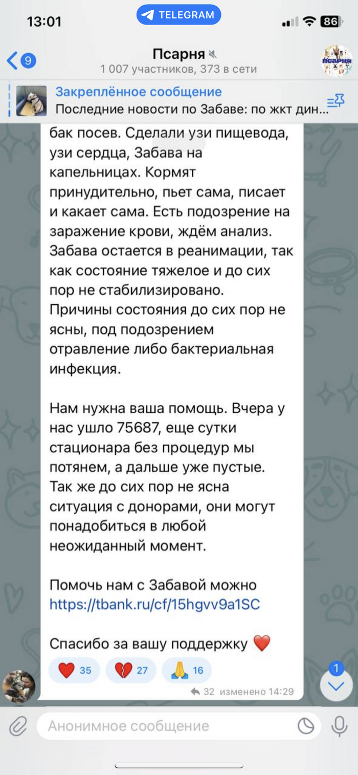 ����� �� ���� ������ � ����� ������ �� �������