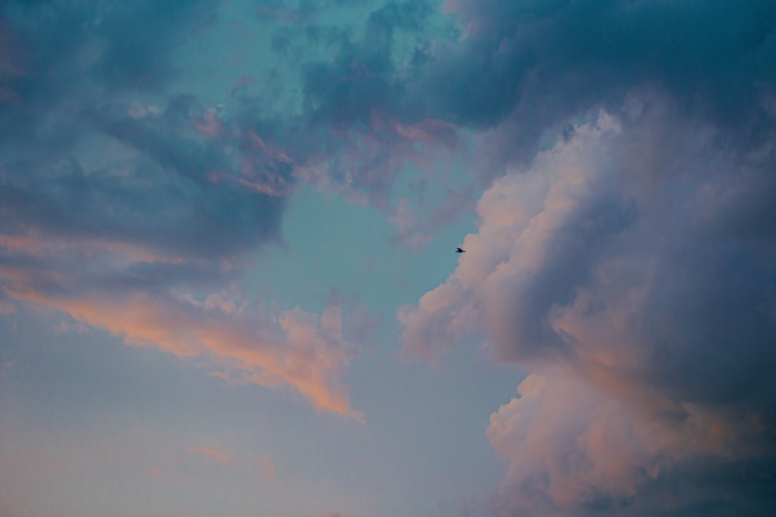        , Canon,   , , , ,   ,  , , 