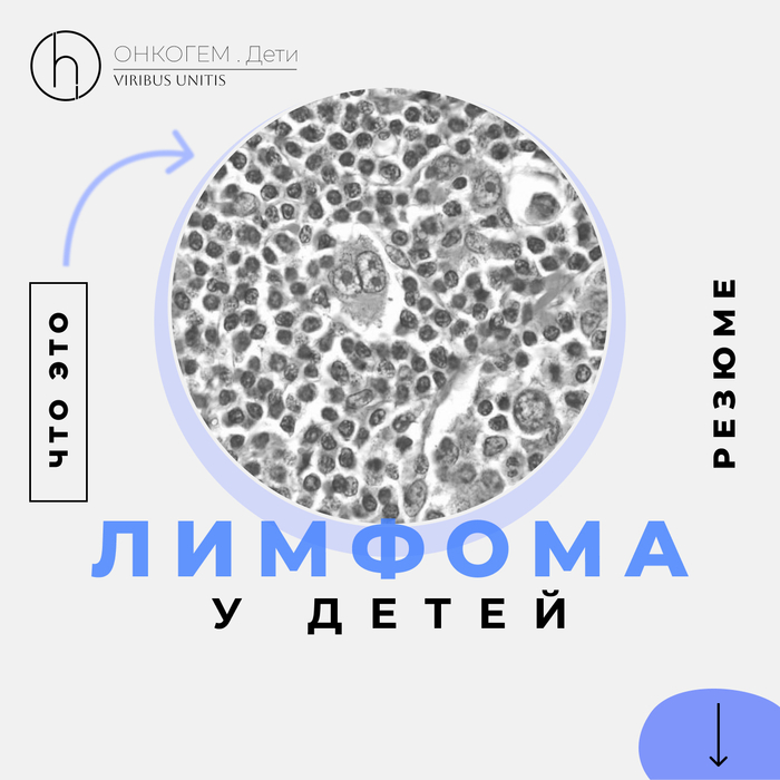 :  , , , ,  ,   , 