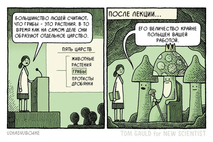   , , Tom gauld, , , 