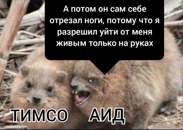 ������� ������� � �����