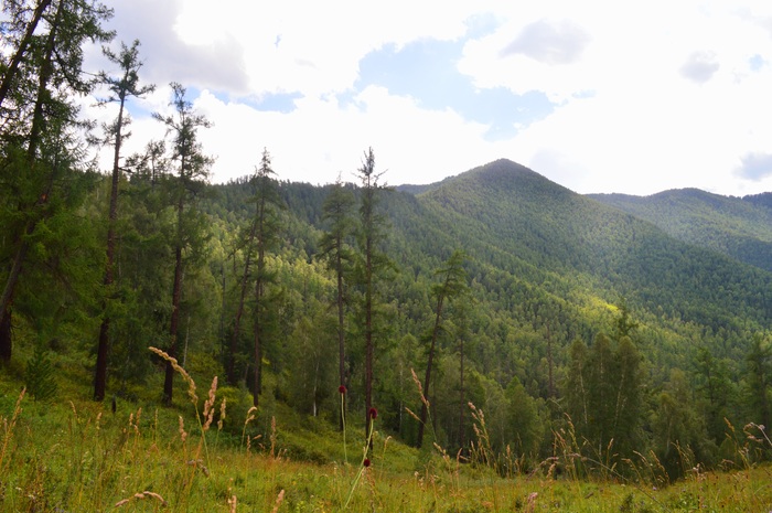 Перевал Кузуяк