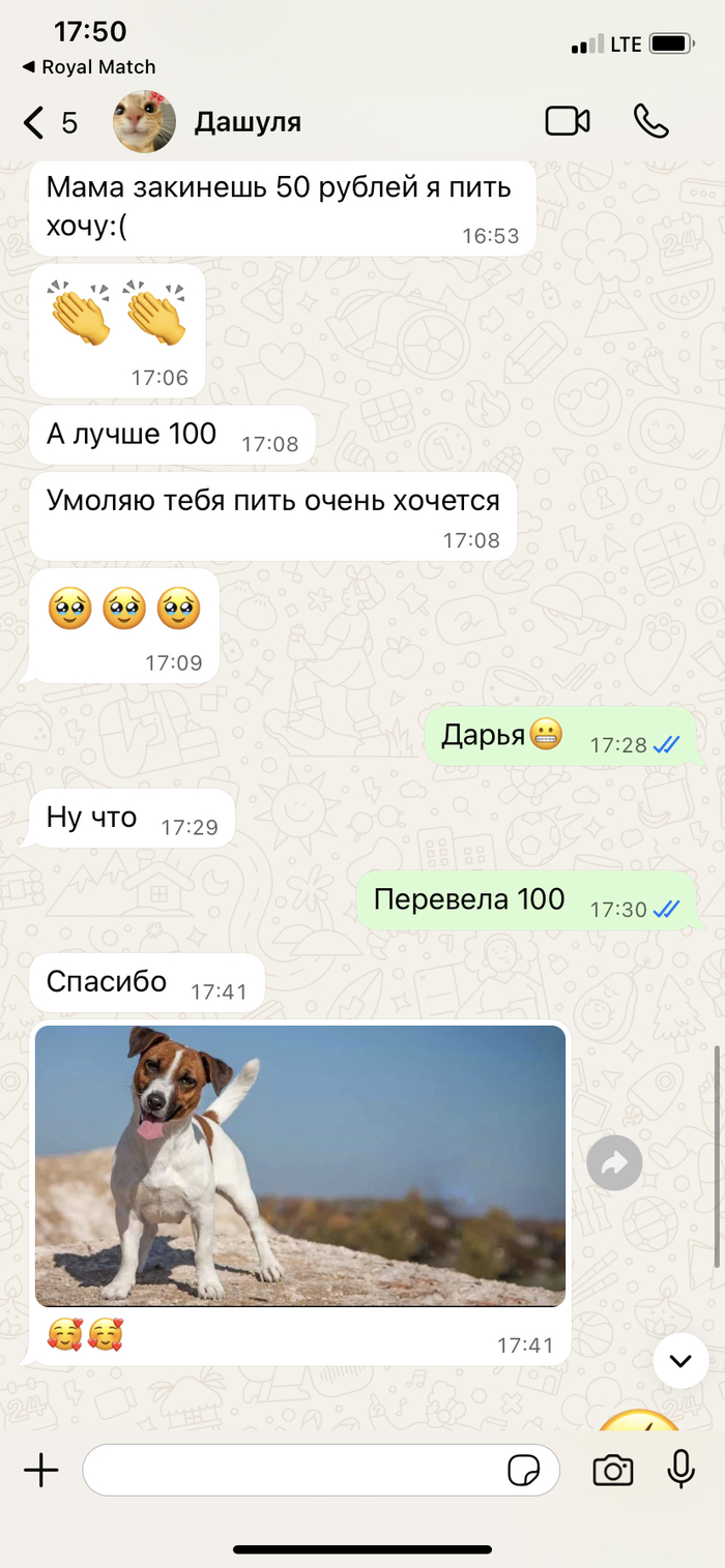 .     ,  , , ,   , , 