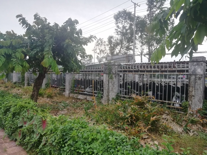 �������� ��� �����������, ��� �� ������� ��������.