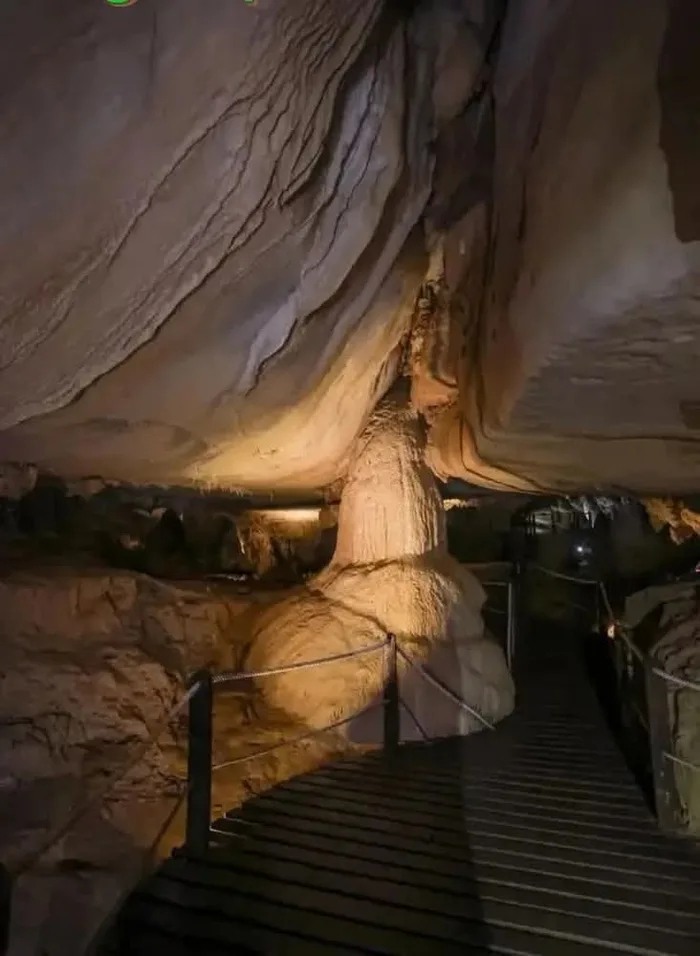 Психотерапевт: вы слишком много думаете о сексе. Давайте посмотрим нейтральные изображения. Что вы видите?