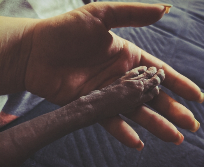 ��������� ����������� � �����������!