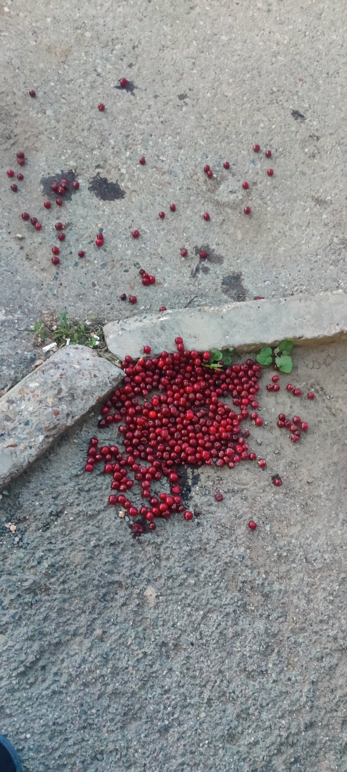 �����, �����, � �� ��� ������