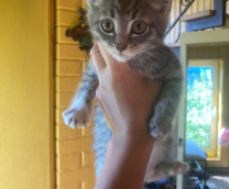 ��� ����