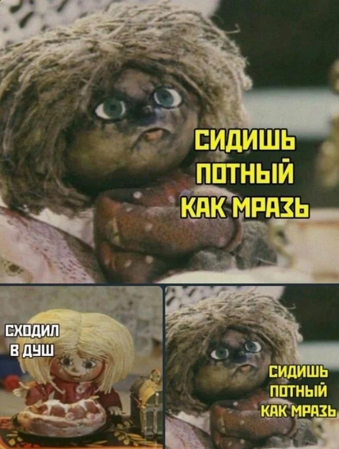 qi7kwu3m.webp