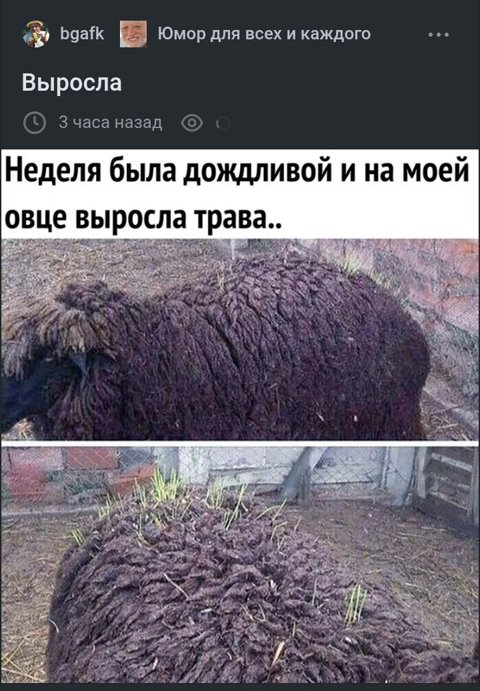       , , , , , ,   , 