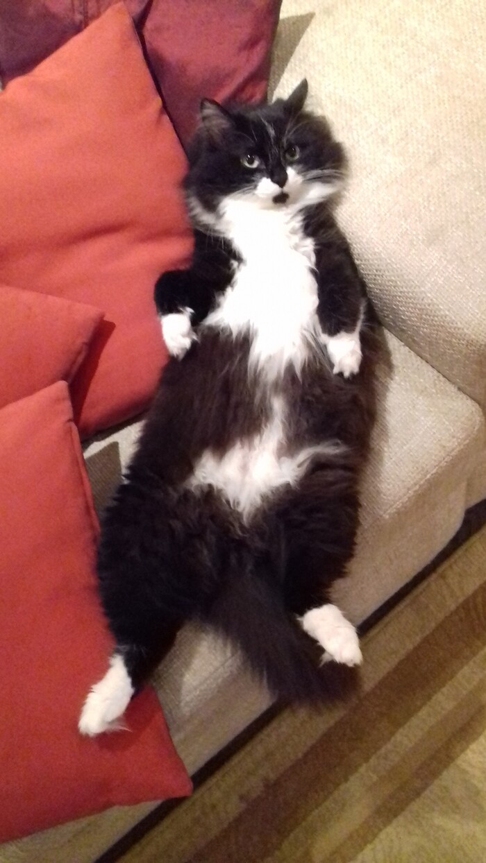 ��������� �� ����� ������� �����