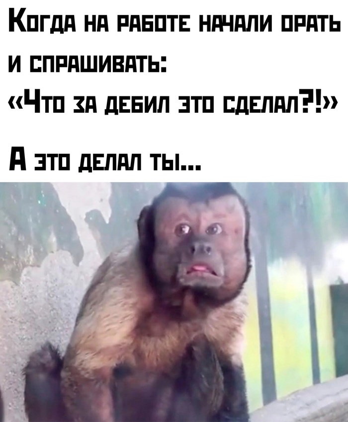     , ,  , , , Telegram (),   