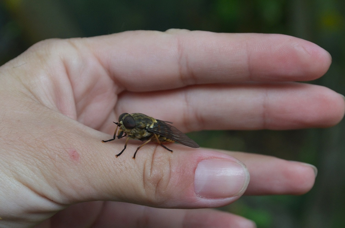 Твоя кожа такая тонкая и нежная. Мне это нравится!