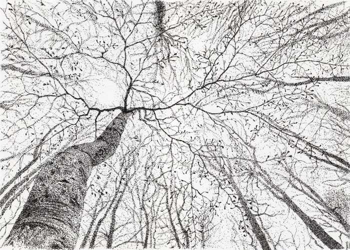  Dotwork, , , 