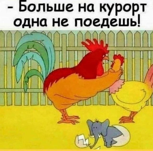          !