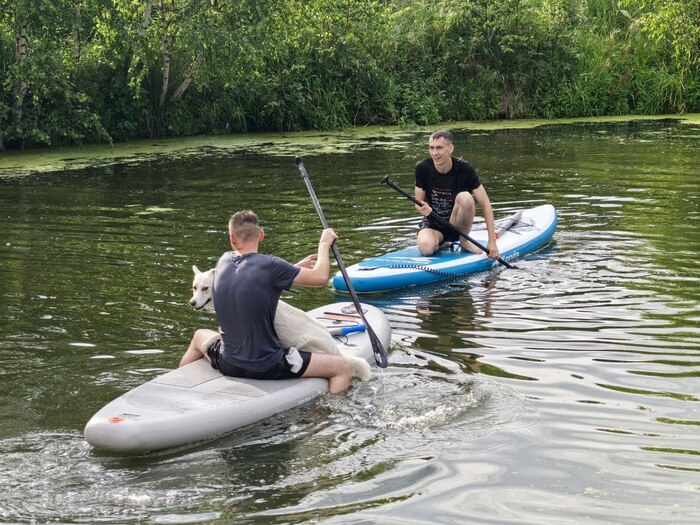 Здесь они уже устали стоять и используют собаку в качестве балласта
