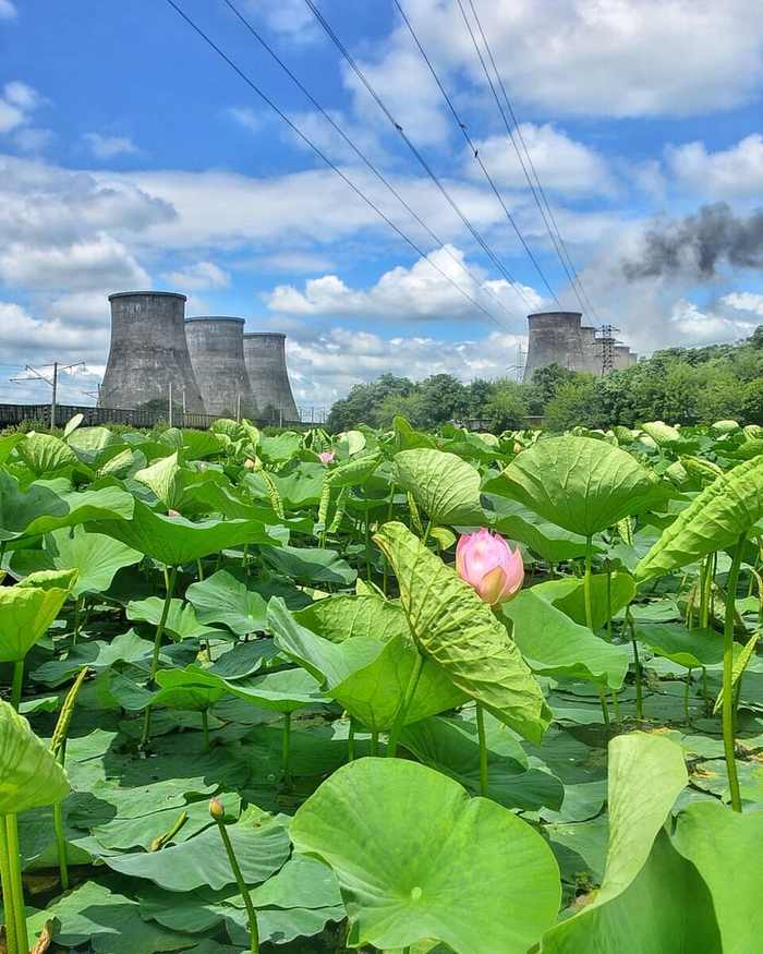 &#x1F4F7; @olgakruze