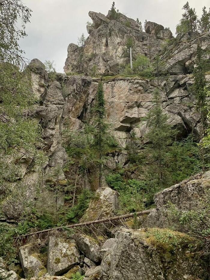 Инзерские зубчатки. Фото: Андрей Мудрей