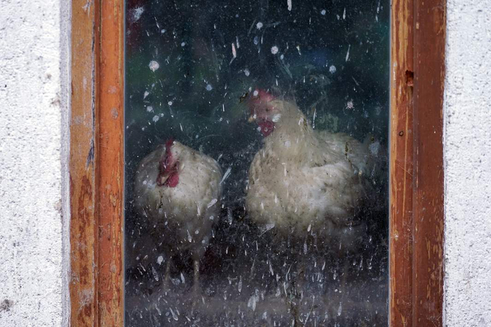   :     -          , ,  , , , ,  , , , , 