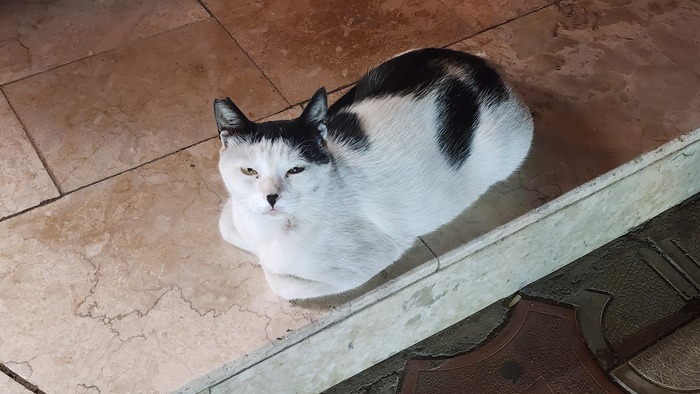    , , ,  , -,  , 